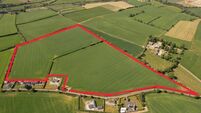 Carlow land sells for over €25,000 per acre Carlow land sells for over €25,000 per acre