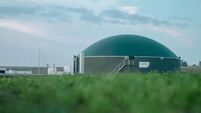 Developer challenges planning decision on Castledermot biogas plant Developer challenges planning decision on Castledermot biogas plant