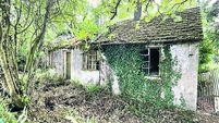 Derelict cottage may have potential  Derelict cottage may have potential