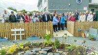 John's Garden opens in Castledermot John's Garden opens in Castledermot