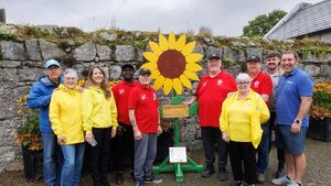 Giant sunflower in Duckett’s Grove is a symbol of hope Giant sunflower in Duckett’s Grove is a symbol of hope