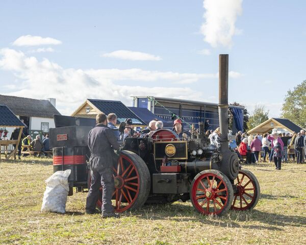 Various Steam engines were also display at the Castledermot Vintage Show Photos: Aisling Hyland Various Steam engines were also display at the Castledermot Vintage Show Photos: Aisling Hyland