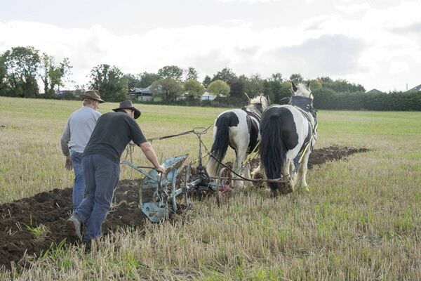 Showing how it was done, ploughing before the big machinery Showing how it was done, ploughing before the big machinery