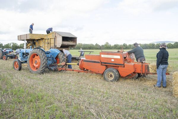 Threshing in Castledermot Threshing in Castledermot