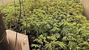 Landlord Marc Godart brought to court 'kicking and screaming' to pay ex-tenants Landlord Marc Godart brought to court 'kicking and screaming' to pay ex-tenants