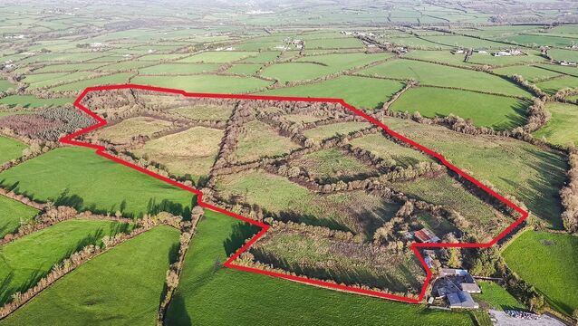 Exceptional 57-Acre Residential & Agricultural Opportunity in Muckalee, Co. Kilkenny Exceptional 57-Acre Residential & Agricultural Opportunity in Muckalee, Co. Kilkenny