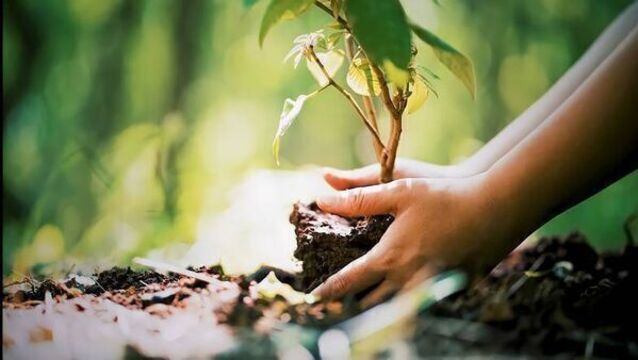 Planting seeds of hope: A spring reflection on faith and renewal Planting seeds of hope: A spring reflection on faith and renewal