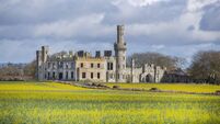 New outdoor structure planned for Duckett’s Grove New outdoor structure planned for Duckett’s Grove