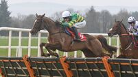 Gowran Park: Preview and Tips for Saturday’s Eight-Race Meeting Gowran Park: Preview and Tips for Saturday’s Eight-Race Meeting