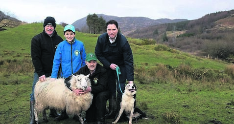 Bigger fines for failureto keep dogs on leads? Bigger fines for failureto keep dogs on leads?