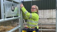 Tullow woman, Zoe in Screwfix trade apprentice semi-final Tullow woman, Zoe in Screwfix trade apprentice semi-final