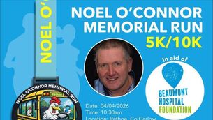 Hacketstown fun run had everyone ‘buzzing’ Hacketstown fun run had everyone ‘buzzing’