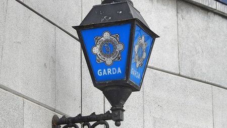 Serious assault reported in Graiguecullen Serious assault reported in Graiguecullen