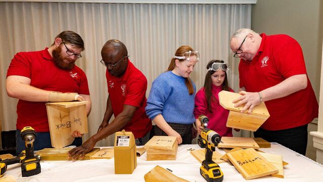 DIY skills take flight as Tullow Men’s Shed hosts birdbox workshop DIY skills take flight as Tullow Men’s Shed hosts birdbox workshop