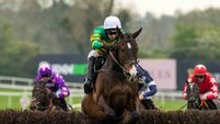 Willie Mullins takes aim at day one of the Punchestown Festival in Irish Champion Trainer title bid Willie Mullins takes aim at day one of the Punchestown Festival in Irish Champion Trainer title bid