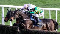 Mullins assesses his chances Day 2 of Punchestown Festival Mullins assesses his chances Day 2 of Punchestown Festival
