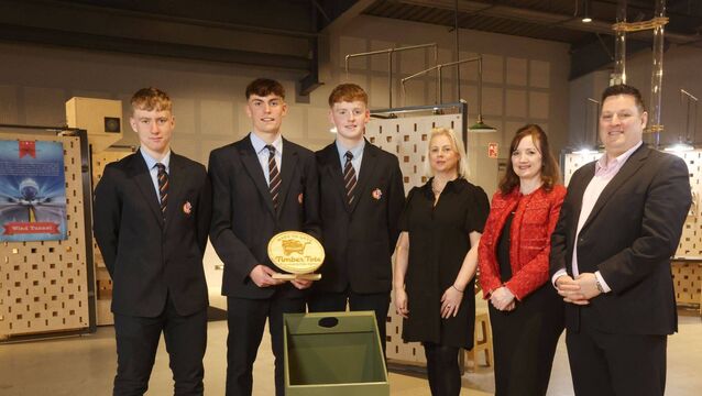 TY students to represent Carlow in national final of student enterprise competition TY students to represent Carlow in national final of student enterprise competition