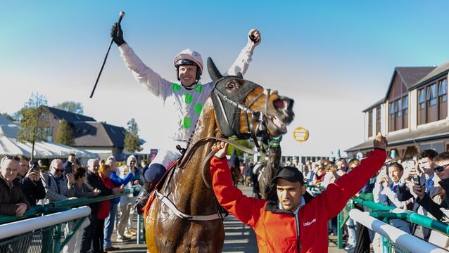 Gaelic Warrior stuns Punchestown with 26-length success in day two feature Gaelic Warrior stuns Punchestown with 26-length success in day two feature