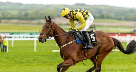 Mundi takes advantage of Kopek fall to land Barberstown Chase Mundi takes advantage of Kopek fall to land Barberstown Chase