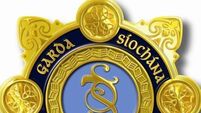 Man refused bail after firearms, ammunition and replica grenade discovered in house near Baltinglass Man refused bail after firearms, ammunition and replica grenade discovered in house near Baltinglass