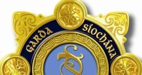 New probationer garda for Carlow New probationer garda for Carlow