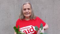 Bunclody woman grows vegetables in tin cans to highlight Kenya poverty project Bunclody woman grows vegetables in tin cans to highlight Kenya poverty project