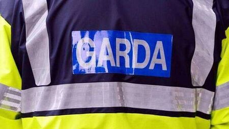 'Flagrant ignorance of court orders' lands Kildare man with suspended sentence 'Flagrant ignorance of court orders' lands Kildare man with suspended sentence