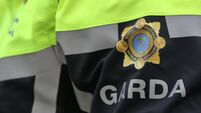 Disqualified driver walked away from car after being spotted by gardaí Disqualified driver walked away from car after being spotted by gardaí