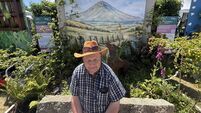 Bagenalstown garden awarded certificate of distinction at Bloom Bagenalstown garden awarded certificate of distinction at Bloom