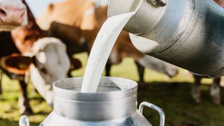 Tirlán announces €4.5 million dairy support payout Tirlán announces €4.5 million dairy support payout