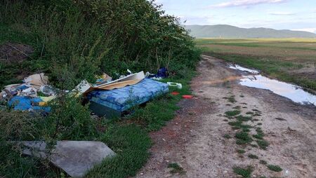 Clean up of illegal camp in Carlow town will cost €10k Clean up of illegal camp in Carlow town will cost €10k