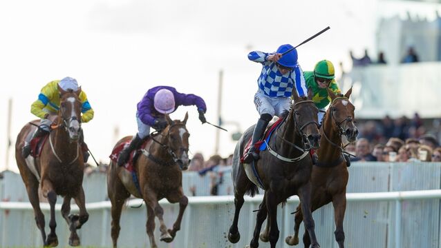 King Alexander delivers Galway Plate glory for Team Closutton King Alexander delivers Galway Plate glory for Team Closutton