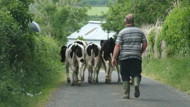 New study reveals hidden mental health toll on farm families New study reveals hidden mental health toll on farm families