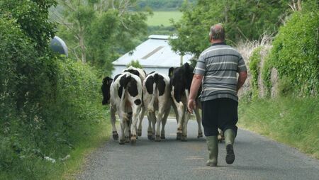 New study reveals hidden mental health toll on farm families New study reveals hidden mental health toll on farm families