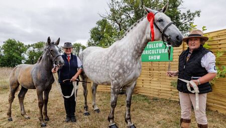 Thousands attend 80th Tullow show Thousands attend 80th Tullow show