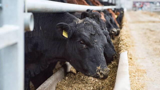 Fodder clinic at Oak Park tomorrow Fodder clinic at Oak Park tomorrow