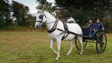 Four-legged horse power raises funds for Carlow charity Four-legged horse power raises funds for Carlow charity