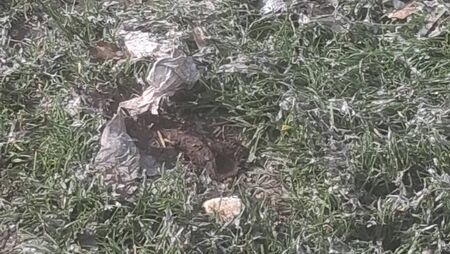 Sewage spill in Carlow housing estate is ‘rancid’ Sewage spill in Carlow housing estate is ‘rancid’