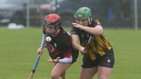 Mount Leinster Rangers dethrone reigning champions Camross Mount Leinster Rangers dethrone reigning champions Camross